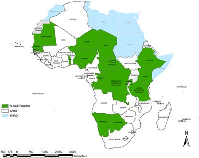 Strengthening and utilizing response groups for emergencies flagship: a narrative review of the roll out process and lessons from the first year of implementation